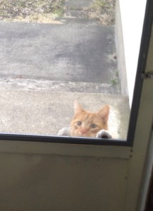 Callie's first encounter with my wife - this moment ended up in the story