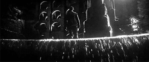 Tumblr_m7kns39UYa1rtegtu