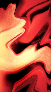 imb_6246490d-4af5-46f0-8ba5-d93e83fa0d28